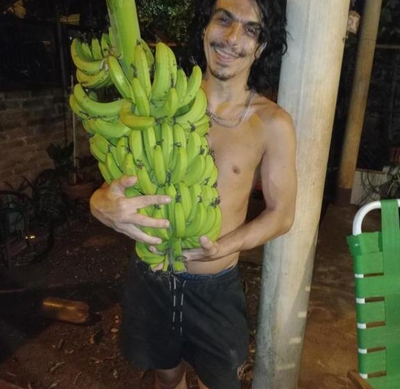 مبيت وإفطار Argentita