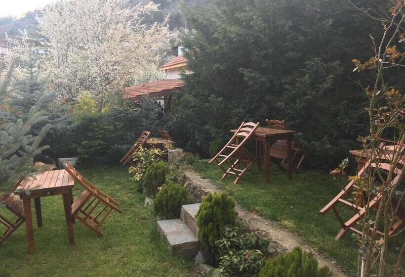 住宿加早餐 Beyzadeler Konağı