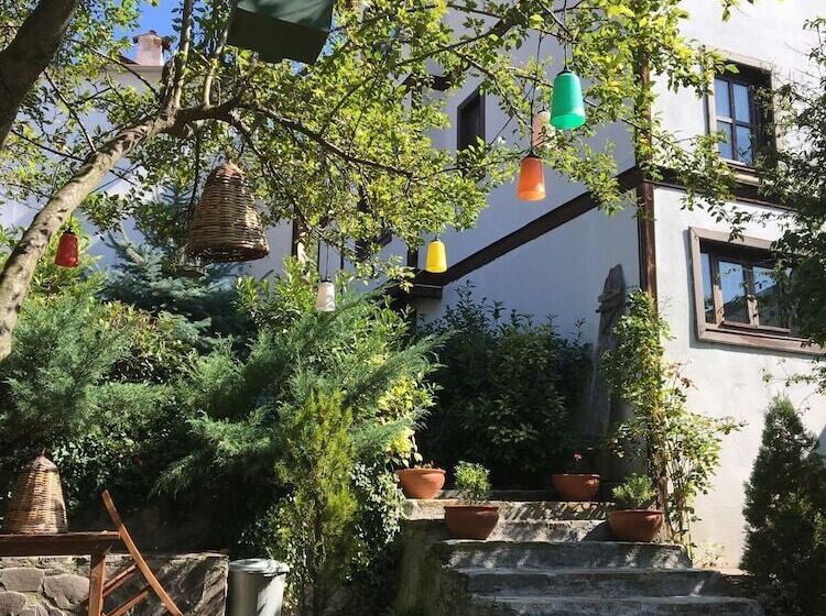 住宿加早餐 Beyzadeler Konağı