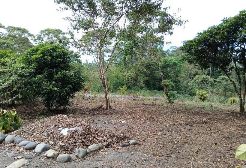 مبيت وإفطار Fevu Vera Forest House