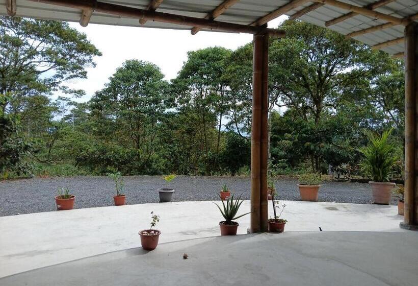 مبيت وإفطار Fevu Vera Forest House