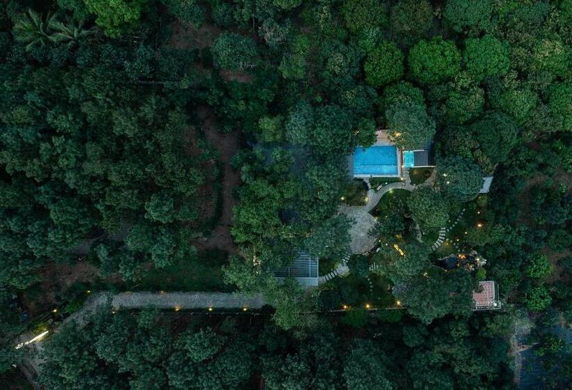 مبيت وإفطار Pine Ring Villa