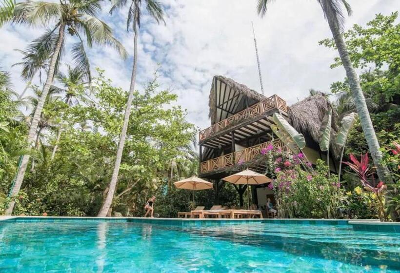 ホテル Masaya Cayena Beach Suite Room Colombia