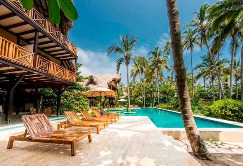 ホテル Masaya Cayena Beach Suite Room Colombia