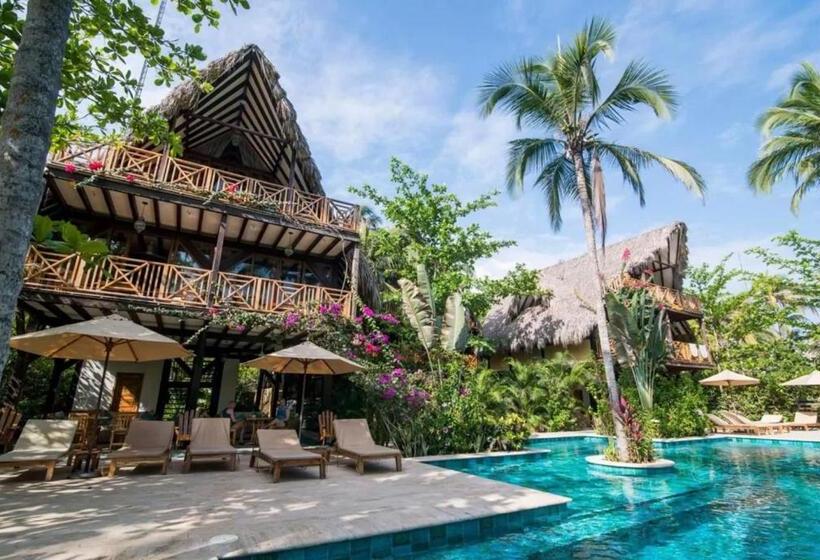 ホテル Masaya Cayena Beach Suite Room Colombia