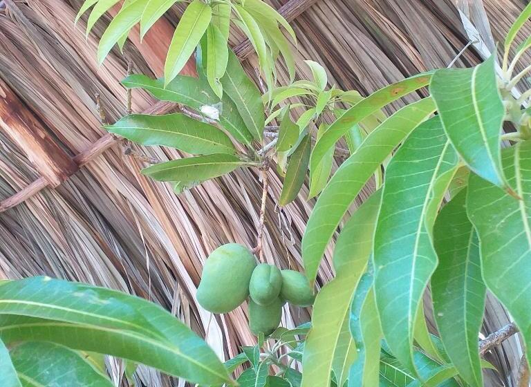 בית מלון כפרי Hostel Nugeku