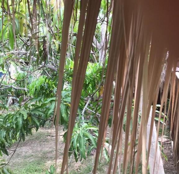 בית מלון כפרי Hostel Nugeku