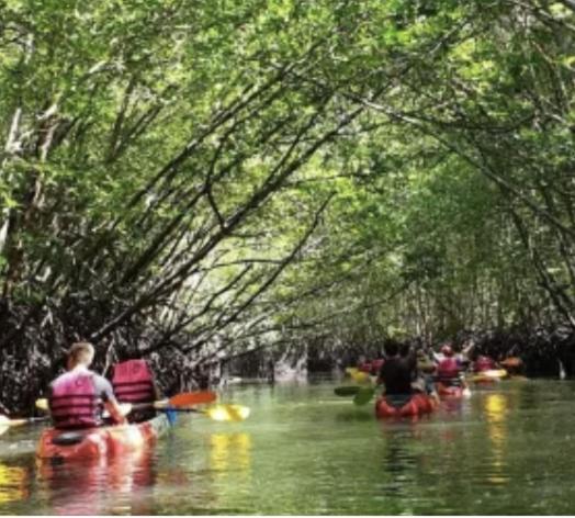 فندق Seaside Sanctuary Bungalows