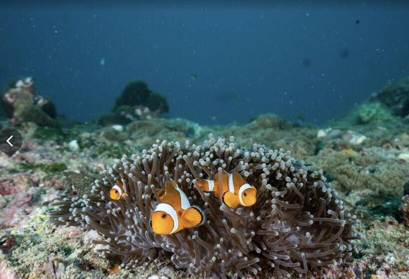 فندق Seaside Sanctuary Bungalows