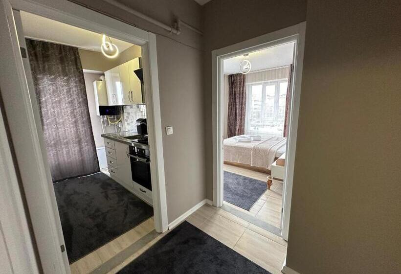 فندق Viyana Premium Pansiyon