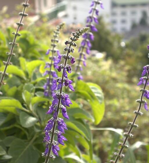 호텔 W15 Glenfall Nuwara Eliya