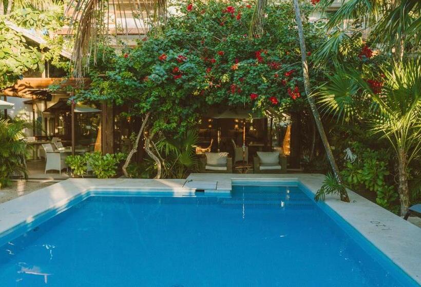 Jashita Hotel Superior Deluxe Suite Mexico