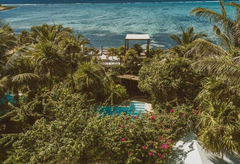 Jashita Hotel Superior Deluxe Suite Mexico