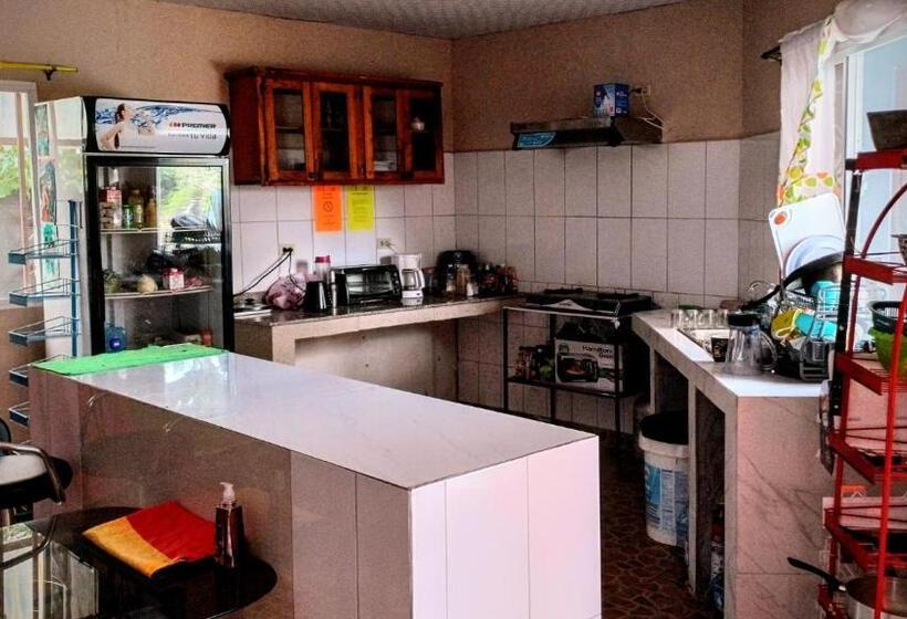 Joe S Layover Hostel Boquete