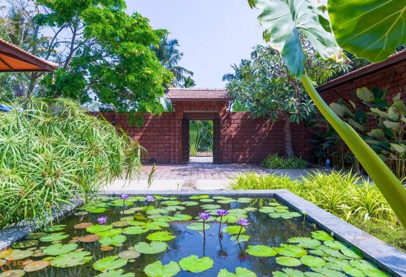 Jomo Resort