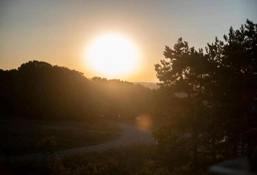 Pensión вила лора