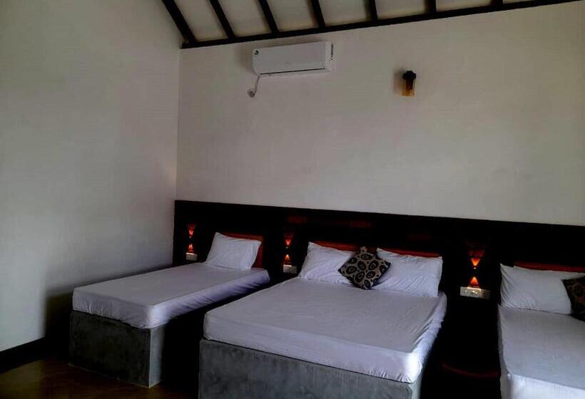 Пансион Ari Paradise