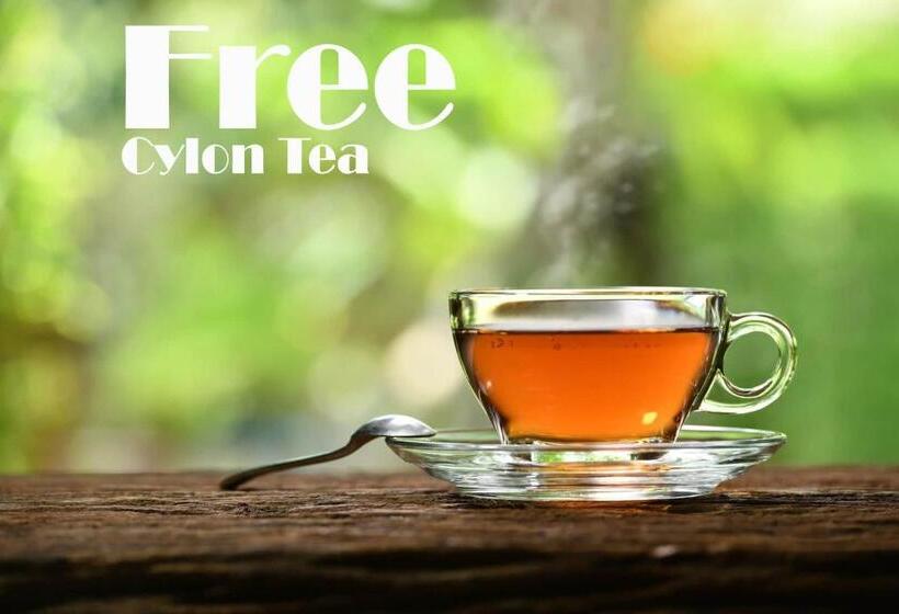 Пансион Ari Paradise