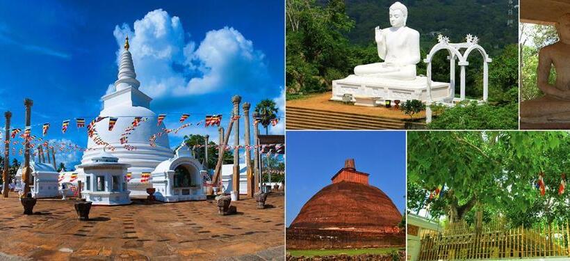 بنسيون Ari Paradise