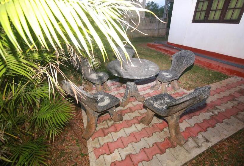 بنسيون Ari Paradise