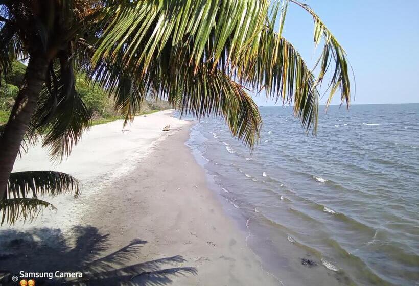 بنسيون Cocibolca House B&b