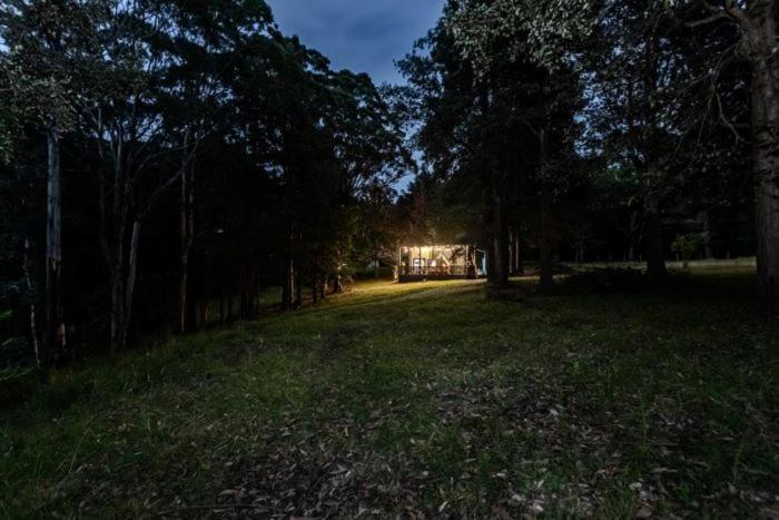 פנסיון Frog Hollows