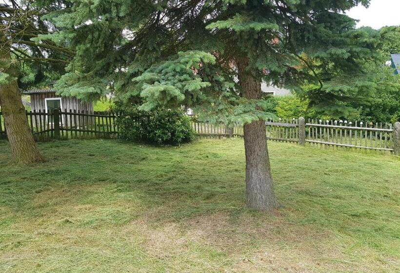 ペンション Gasthof Oberschmiede