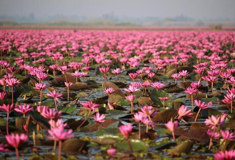 ペンション Hormduk Resort