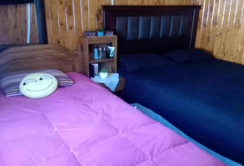 بنسيون Hostal Le Moon