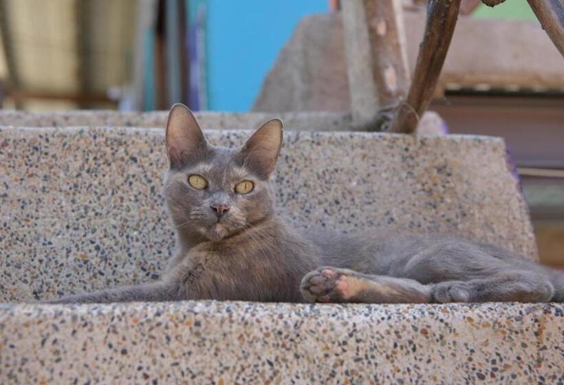 پانسیون Hostal San Jose