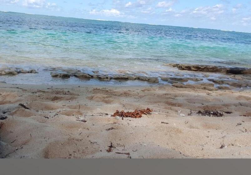 پانسیون Kalubihan Cottage/bungalow Guest House