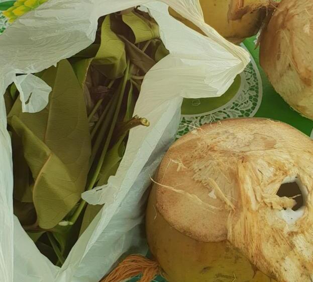 پانسیون Kalubihan Cottage/bungalow Guest House