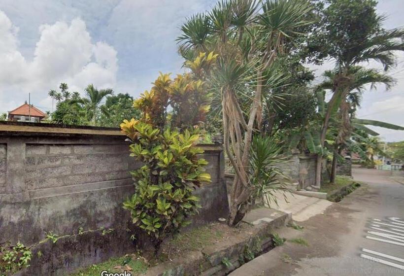 פנסיון Kelod Kangin Guest House