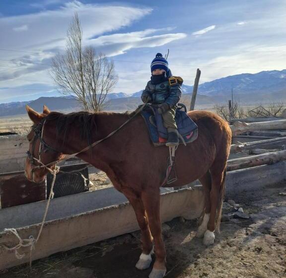 پانسیون Nasypbeketno