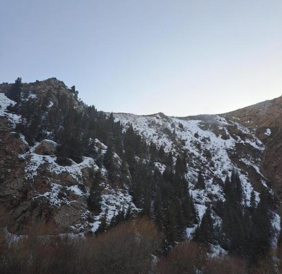 پانسیون Nasypbeketno