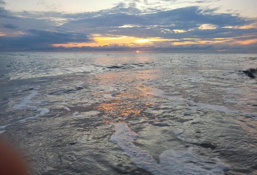 פנסיון Neems Forest Guest