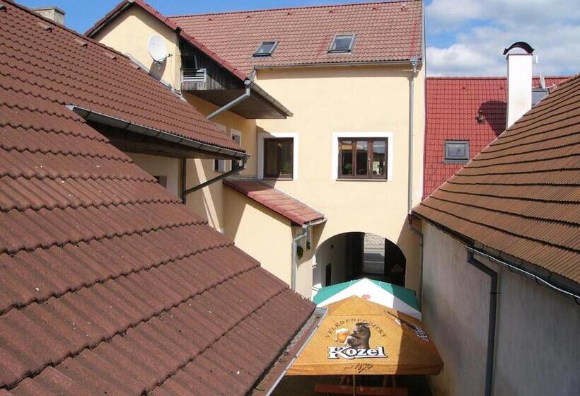 펜션 Penzion U Točíka