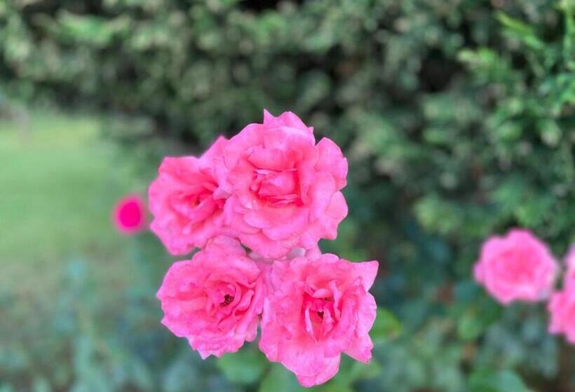 Luxury Sveti Vlas Beach Apart