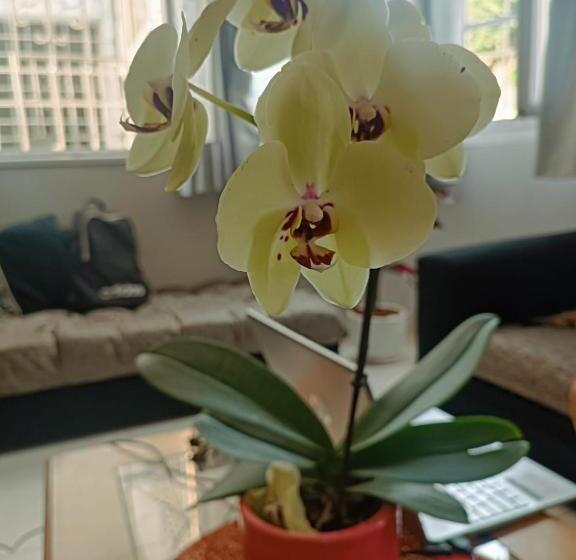 Quinoa Backpackers Hostel