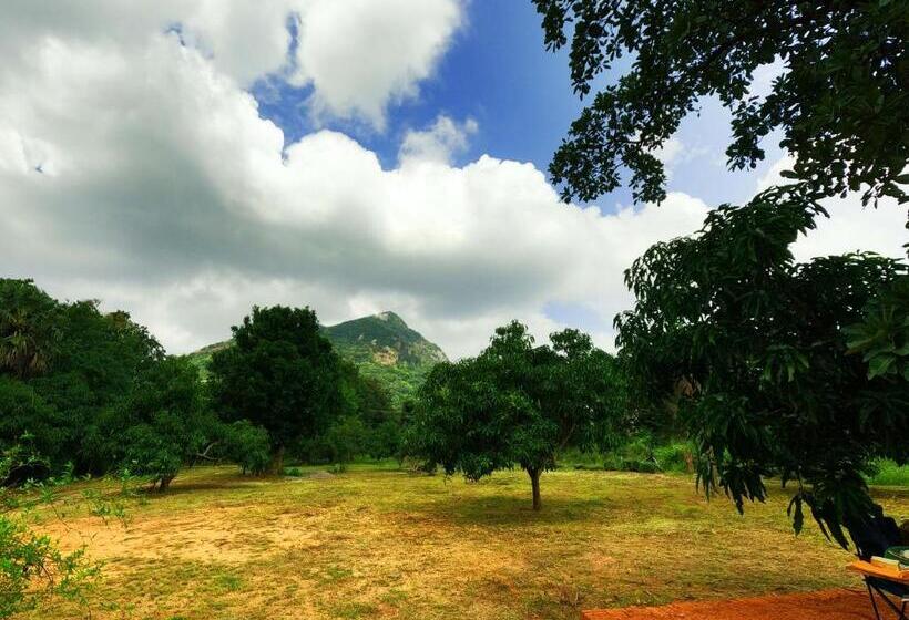 منتجع Ritigalafoothills