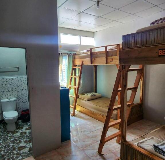 Seven Nine Hostel Calm Place To Sleep