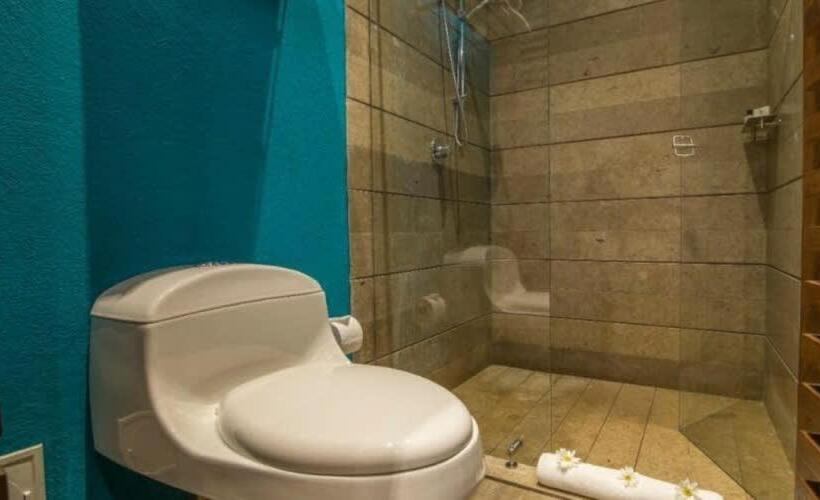 Sophia Hotel   Superior Deluxe   Colombia