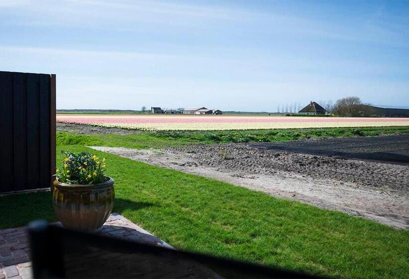 Bed and Breakfast Bloem & Bed