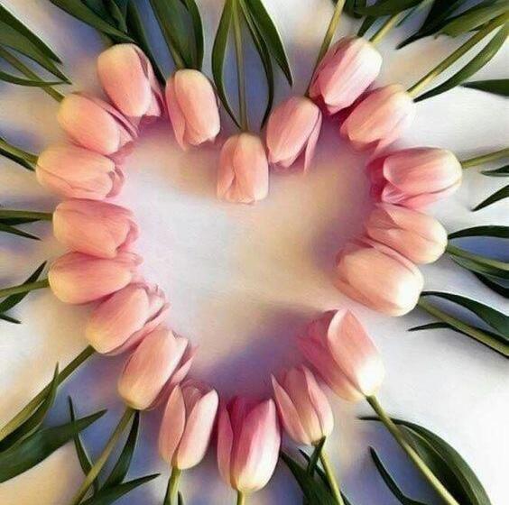 Bed and Breakfast Bloem & Bed