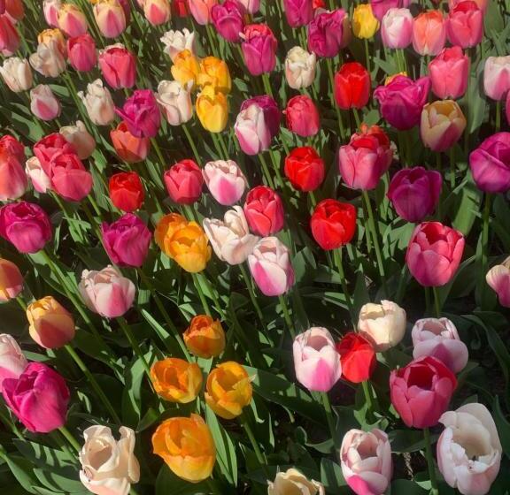 Bed and Breakfast Bloem & Bed