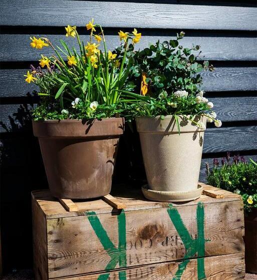 Bed and Breakfast Bloem & Bed