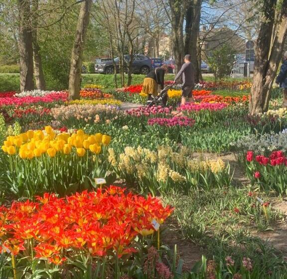 Bed and Breakfast Bloem & Bed