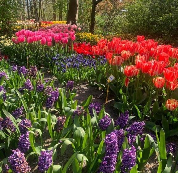 Bed and Breakfast Bloem & Bed