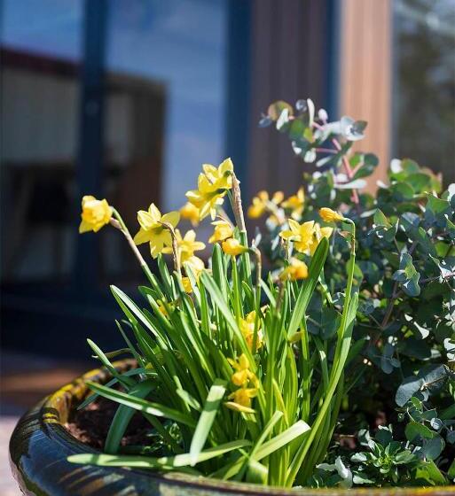 Bed and Breakfast Bloem & Bed