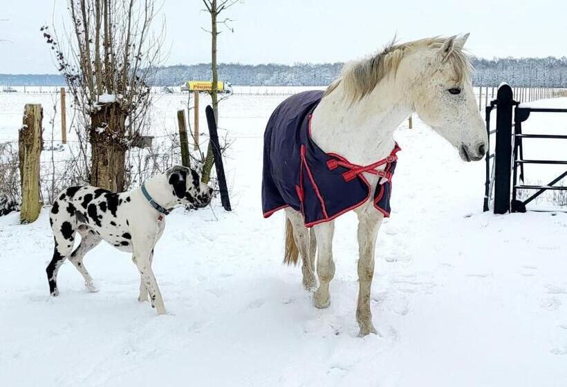 ベッドアンドブレックファースト Chambre D Hôtes Au Haras D Agathe Et Ses Princes